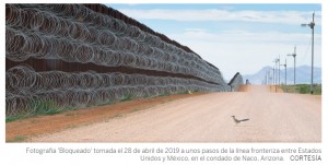 Un correcaminos bloqueado por el muro con EE UU le da a un mexicano el premio al Fotgrafo de Aves 2021