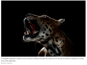 Contra el cautiverio: el excuidador del zoo porteo que fotografa animales extrados de su hbitat para generar concien