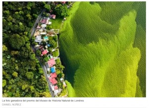 La historia detrs de la imagen del lago verde de Guatemala que gan el Oscar de fotografa de vida silvestre