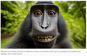 El fotgrafo que lucha con Wikipedia por la imagen de un mono: Me deben 52 millones de dlares