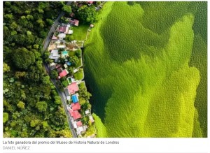 La historia detrs de la imagen del lago verde de Guatemala que gan el Oscar de fotografa de vida silvestre