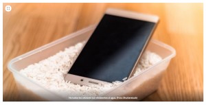 El truco del arroz, un mito: consejos para salvar un telfono celular mojado