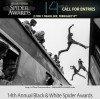 14° Black & White Spider Awards