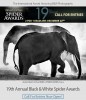19th Black & White Spider Awards