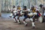 Tribu Swazi