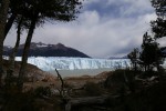 Calafate, tierra de glaciares