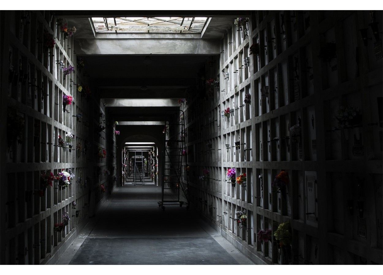 ME: Marcelo Rapagnani - "El otro viaje"