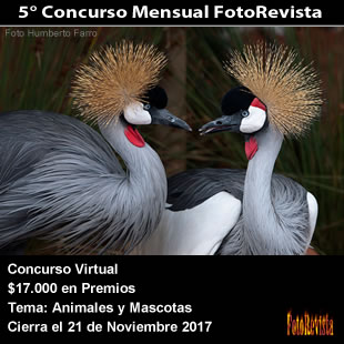 5° Concurso Mensual FotoRevista