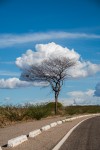 rvore de nuvem, rodovia em Misso Velha, Cear