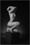 Vick Rodin