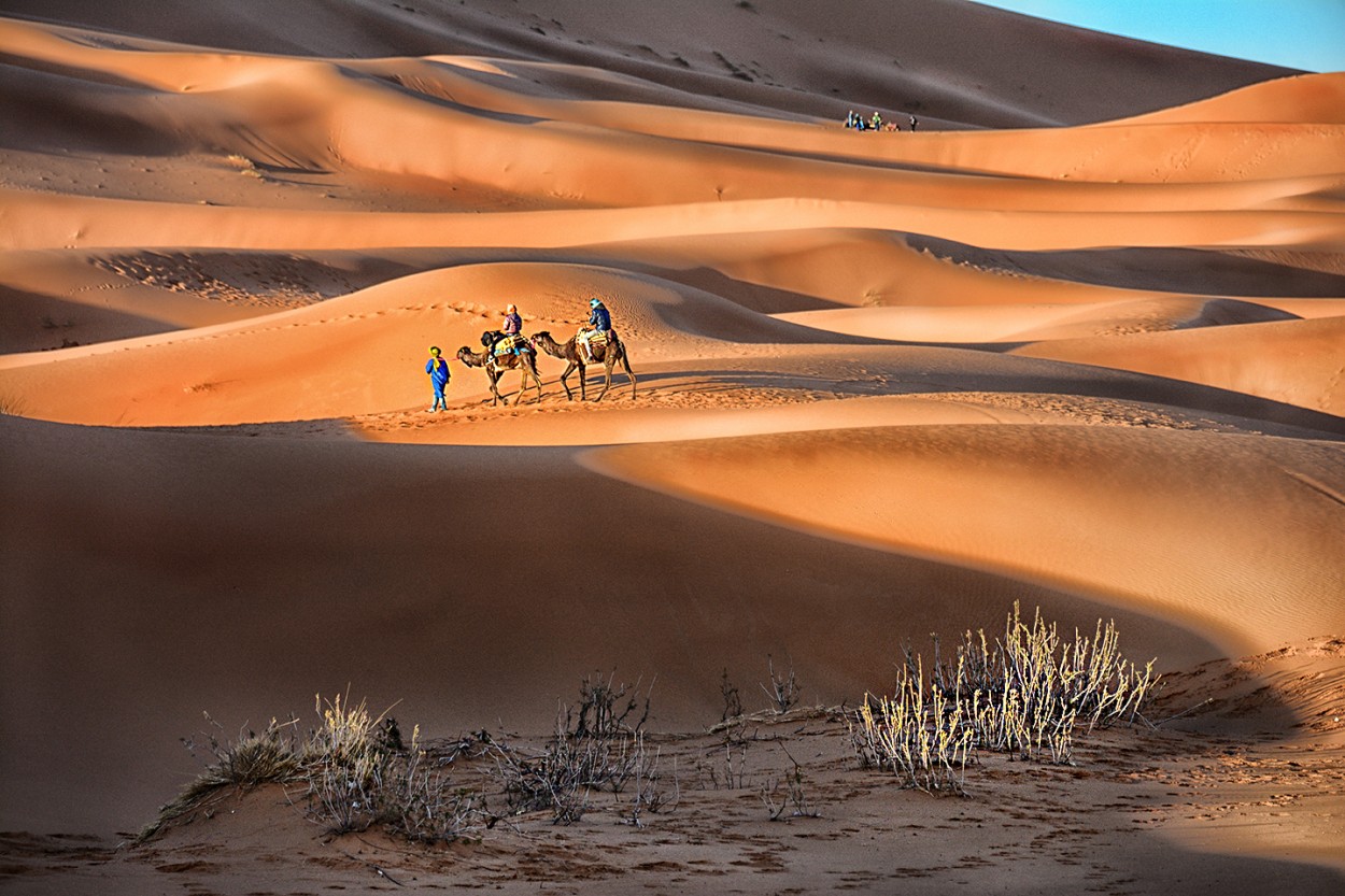 Desierto de Sahara 