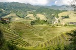 -Cultivo de arroz en terrazas II-Longsheng-