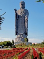 Buda Ushiku Japn