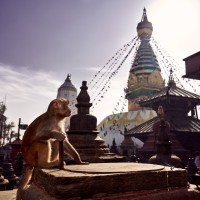 Templo del Mono (Nepal)