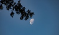Luna de la tarde