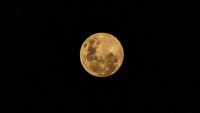 Luna de Cuarentena