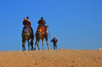 Paseo en Camellos