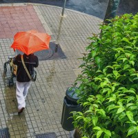 Paraguas naranja (desde el balcn)