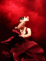 Flamenco, pasin que estremece