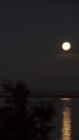 luna en el lago