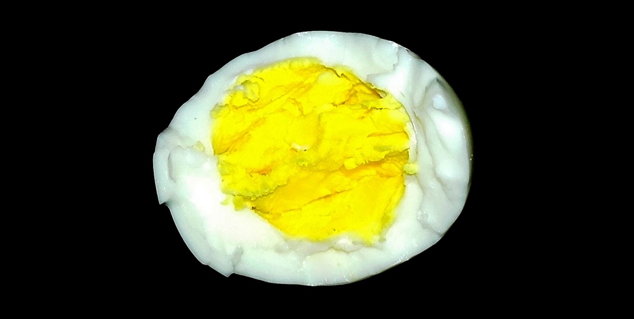 Huevo huevo