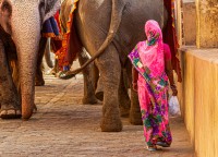 Callejeando entre elefantes