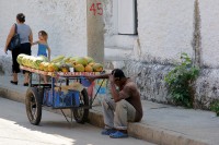 Miller frutas - Cartagena de Indias