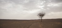 Soledad en el desierto