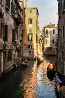 Venecia y sus gndolas