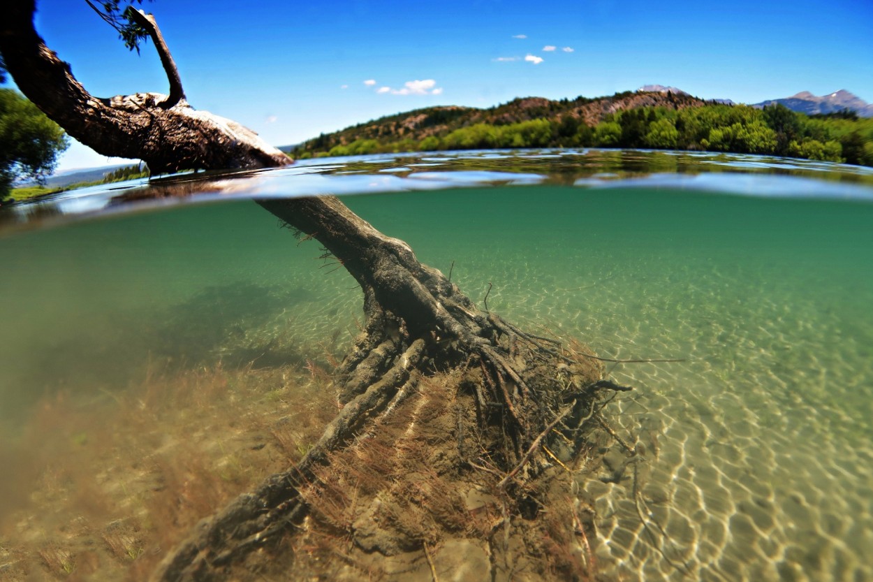 Ro Grande superficie y bajo agua II