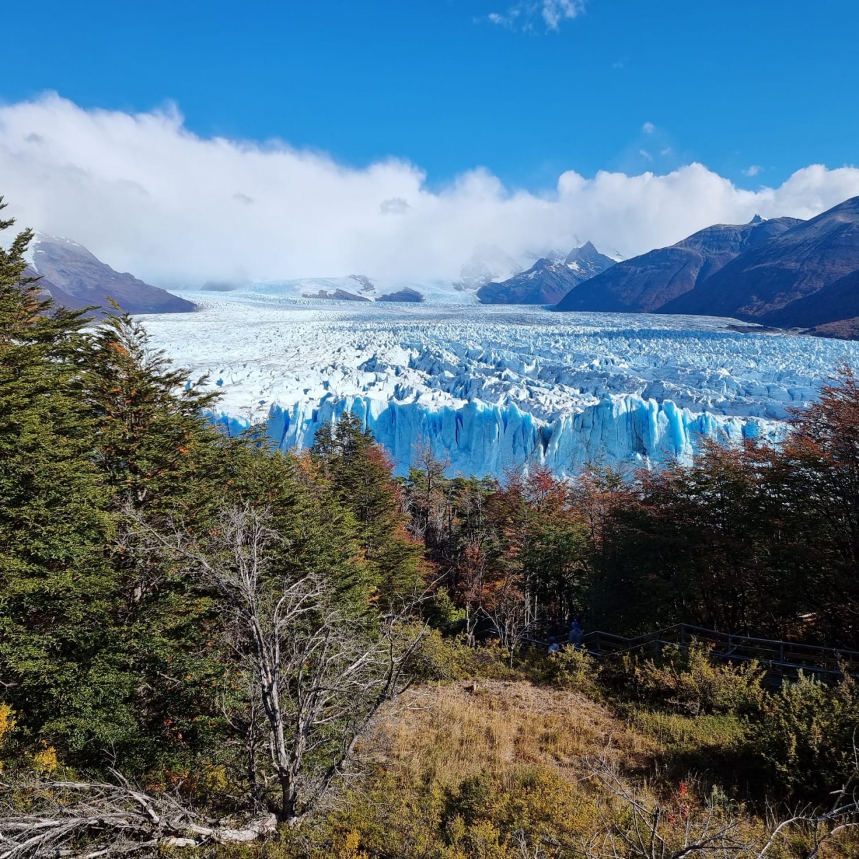 Glaciar Perito Moreno(Santa Cruz)