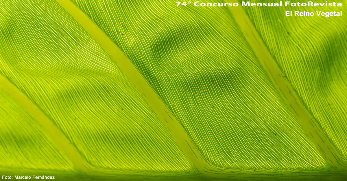 74° Concurso Mensual de FotoRevista