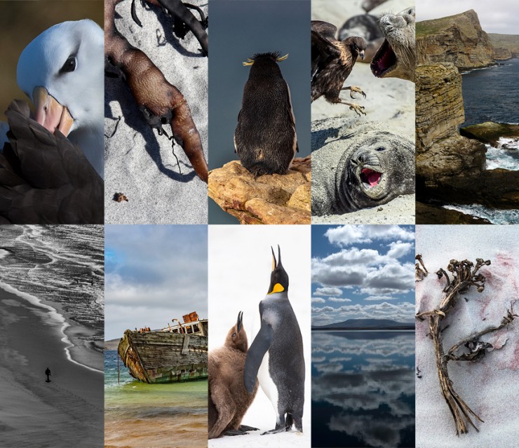 Fotosafari Relevamiento a las Islas Malvinas