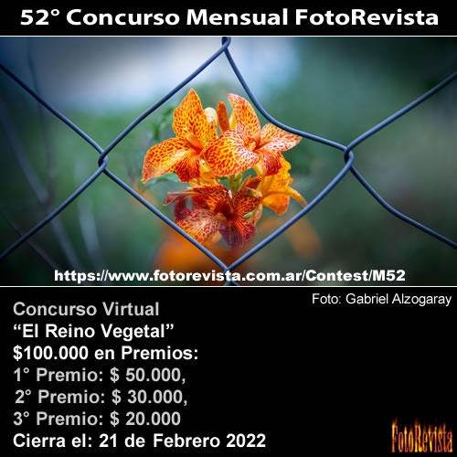 52° Concurso Mensual FotoRevista