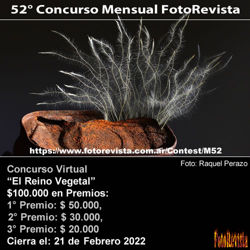 52° Concurso Mensual FotoRevista