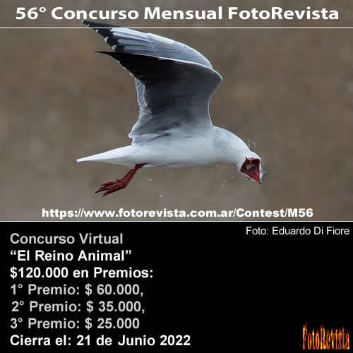 56° Concurso Mensual FotoRevista