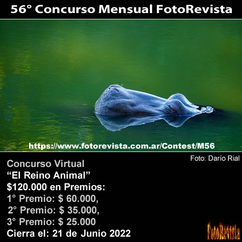 56° Concurso Mensual FotoRevista