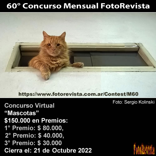 60° Concurso Mensual FotoRevista