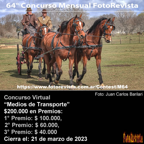 64° Concurso Mensual FotoRevista
