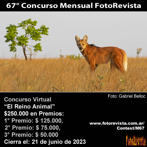 67° Concurso Mensual FotoRevista