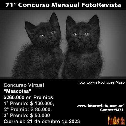 71° Concurso Mensual FotoRevista