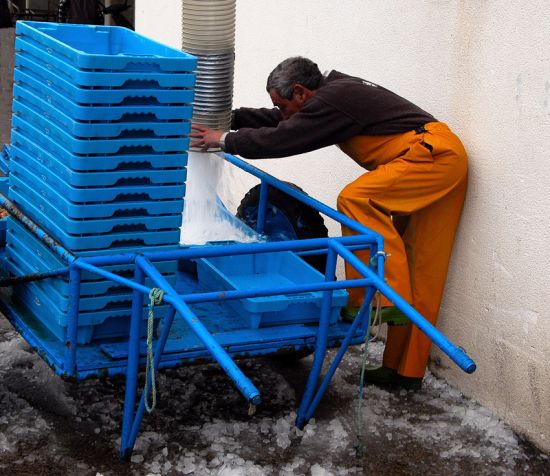"Preparando hielo para el Pescado" de Antoni Targarona Gibert