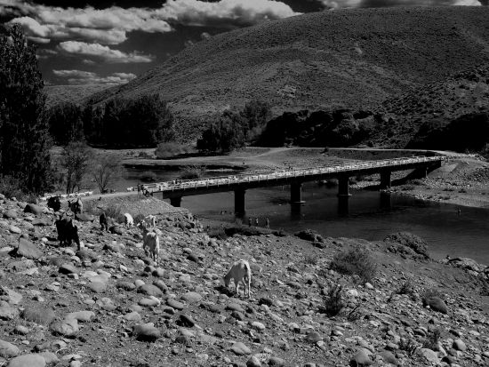 "Puente Nahueve" de Osvaldo Sergio Gagliardi