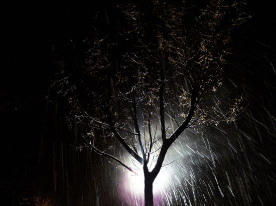 "Nieve nocturna" de Osvaldo Sergio Gagliardi