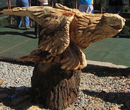 "Aguila de madera" de Roberto Bernabitti