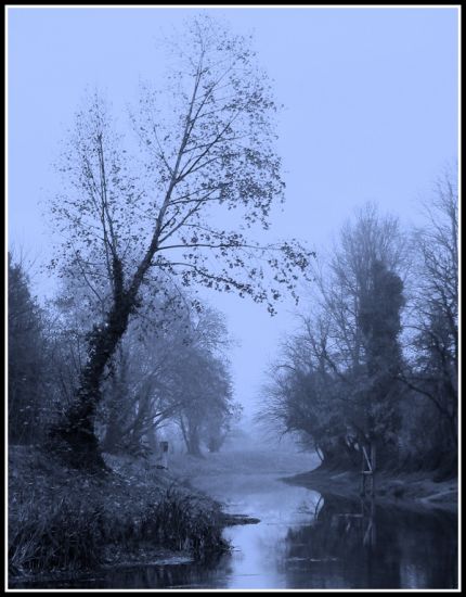 "Azules neblinosos" de Eli - Elisabet Ferrari