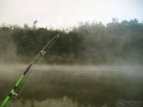 "Pescar temprano" de Ivn Pawluk