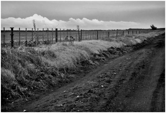 "Camino rural" de Eli - Elisabet Ferrari