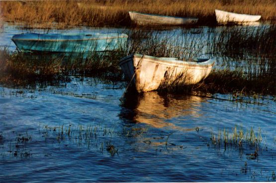"botes en Laguna de Lobos" de Stella Maris Kippke