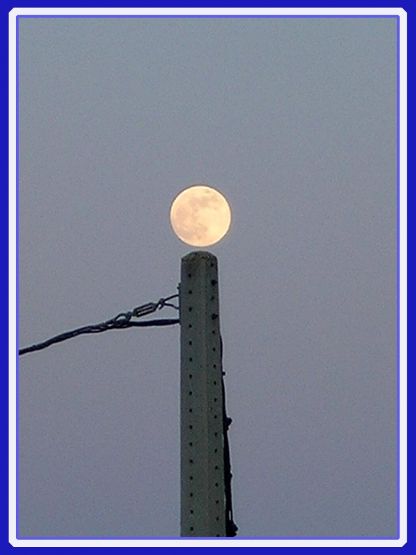 "la luna en el poste" de Elvira Dcm